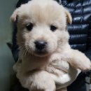 소사2길 이미지