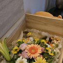 예산 위드엔젤 이미지