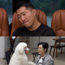 개와늑대의시간 스타데일리뉴스 