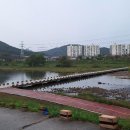 정림세월교 Daum카페