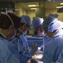 (주)신장바이오 이미지