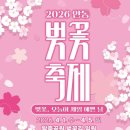 마음치유상담소 | 협회 🌸 봄바람과 함께 찾아온 마음의 위로, 2026 안동 벚꽃축제 ‘벚꽃 마음 상담소’ 타로 행사 후기!