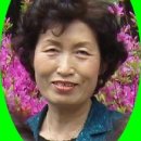 강서초교 이미지