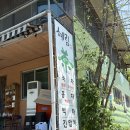 [경남/하동] 화개 차밭에서 티크닉하기! 혜림농원 차 체험 예약 방법, 후기