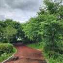 하림공원(이벤트광장) 이미지