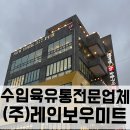 레인보우미트