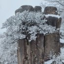 왕건공인중개사사무소 이미지