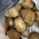 지에스(GS)25 수영골드점 | 260227: 은행산채 왕만두, 지에스 미니두쫀쿠, 윤주모 덮밥, 더모아 추가포인트, 말쫀쿠, 널담 슬랩...