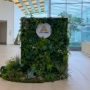 (주)레이크힐스리조트제주 | [골프]제주 볼카노CC(구 레이크힐스) 리뷰