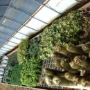 광영 농장 이미지