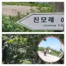 진모래해변 네이버블로그
