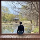 전주 4월 꽃놀이 당일 여행 코스 한국도로공사 전주수목원