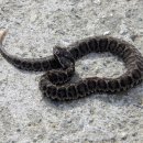 극락강역 이미지