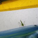 기선농장 이미지