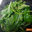 모닝글로리 이미지