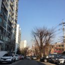 박달우성아파트 이미지