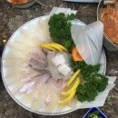 석주 물회 이미지