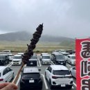 아소산 | 구마모토｜아소산 투어 후기, 나카타케 분화구 구사센리 아소 우유 아이스크림까지 당일 완벽 정리