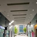 미대언니 이미지