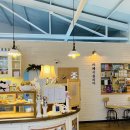 세븐일레븐 의정부중앙교차로점 | 의정부 시내 유럽 감성 스콘 맛집 카페 시칠리아 내돈내산 후기