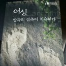 어싱 Earthing (책 소개) 이미지