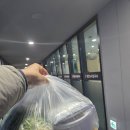 세븐센트럴푸르지오 | 해운대역맛집 등촌샤브칼국수 미나리향에 볶음밥까지 솔직후기