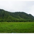 태고목장 이미지