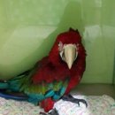 닥터홍 동물병원 이미지