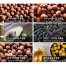 [헤어오일] 디올 쟈도르 향 헤어오일 (향 똑같음) 내돈내산 후기