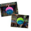 남파랑길25코스(탑포마을~거제파출소)를 걷다 이미지