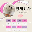 일산애견호텔 애견유치원 맘바이 일산점 | 일산애견호텔 일산애견호텔 애견유치원 맘바이 일산점 우리 강아지를 위한 완벽한 선택