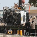 동삼이네 이미지