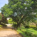 01-23 동구 이미지