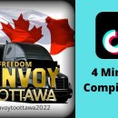 캐나다 - 자유 호송에 동참한 50,000명 이상의 트럭 운전사들 COVID 의무에 항의하는 캐나다인 대규모 군중들 이미지