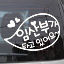 제제이네