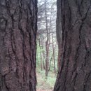 비래초등학교 이미지