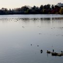 서호공원 이미지