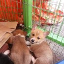 세광상사 이미지