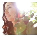 동백아가씨 이미지