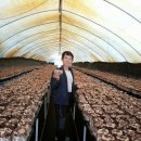 강희농장 이미지