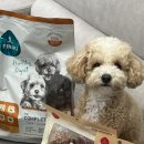 주식회사이롬 | 강아지사료 피니키 더컴플리트프로 덕앤치킨 2주간 급여한 후기