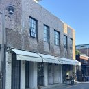 마을애견 이미지