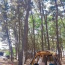 구례포해수욕장(중앙) | 태안 구례포해수욕장/ 대명야영장, 대명캠핑장 후기/ 석갱이 비교