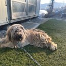 용성2리마을회관 이미지