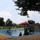 패밀리공원 이미지