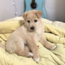 안경존중 민락점 | 월간 한세민 동거춘래호 (月刊 韓世民)