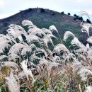 행복한차정비 이미지