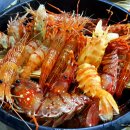 독도회센터 이미지