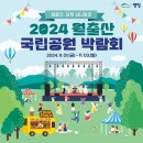 영암종합운동장 이미지