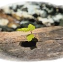 뒷골2로 이미지